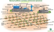Системы капельного орошения