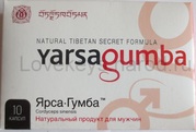 Ярсагумба (yarsagumba) - лучшее для мужчин