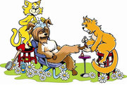 Стрижка собак и кошек - груминг-салон Master Groom