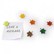 Набор из 6 магнитов Leaf a Message