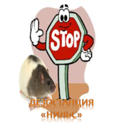 Борьба. Уничтожение крыс в Алматы и Алматинской области