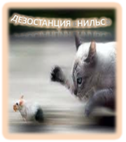 Борьба. Уничтожение мышей в Алматы и Алматинской области