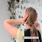 Устранение плесени на стенах в Алматы