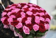 Букет из 101 розовой и красной розы 60 см